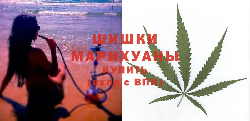 где можно купить   Апшеронск  Конопля SATIVA & INDICA 